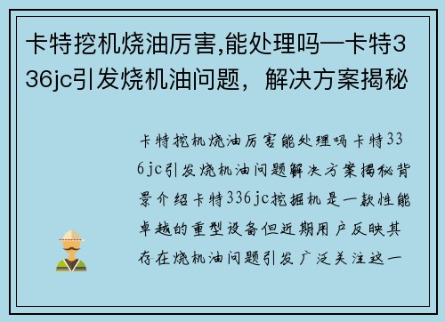 卡特挖机烧油厉害,能处理吗—卡特336jc引发烧机油问题，解决方案揭秘